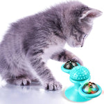 Windmolen Kattenspeeltje