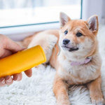 Anti-blaffende Hondentrainer